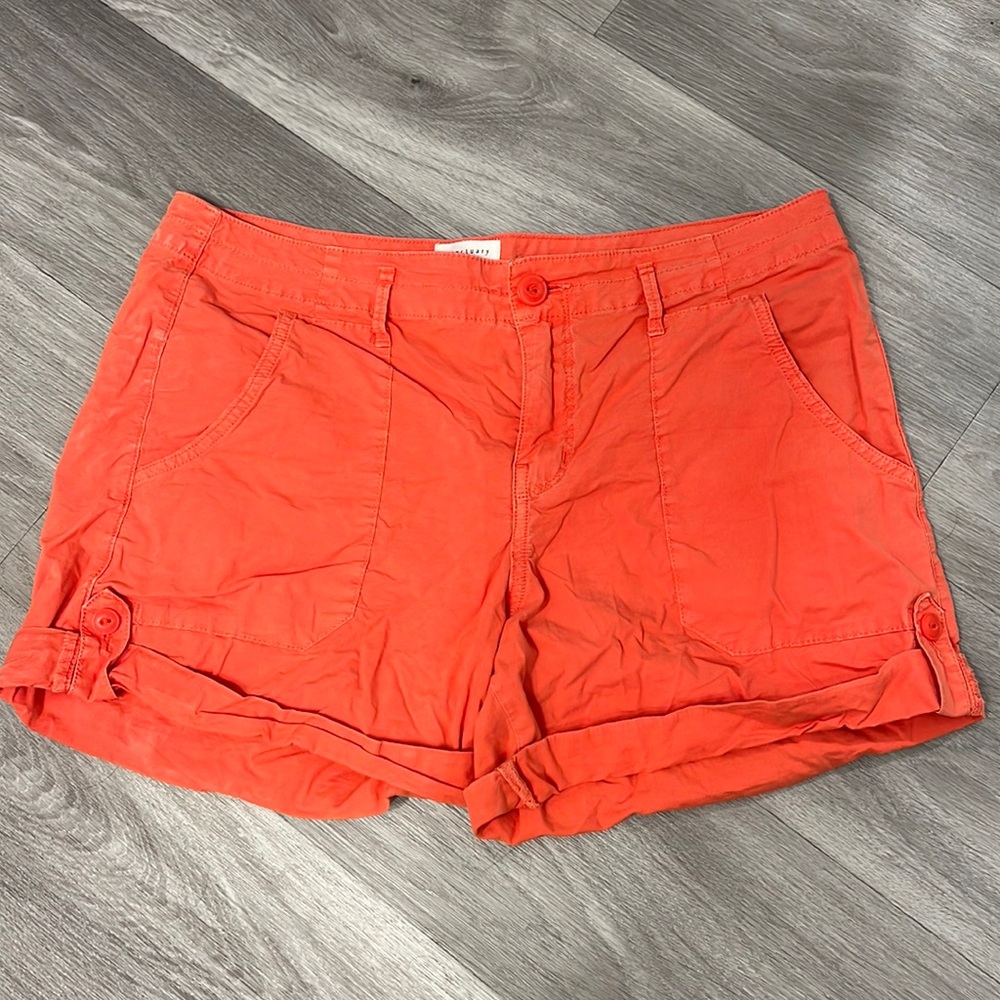 Sanctuary Camp Short in Orange